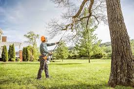 Best Hazardous Tree Removal  in Herald, CA