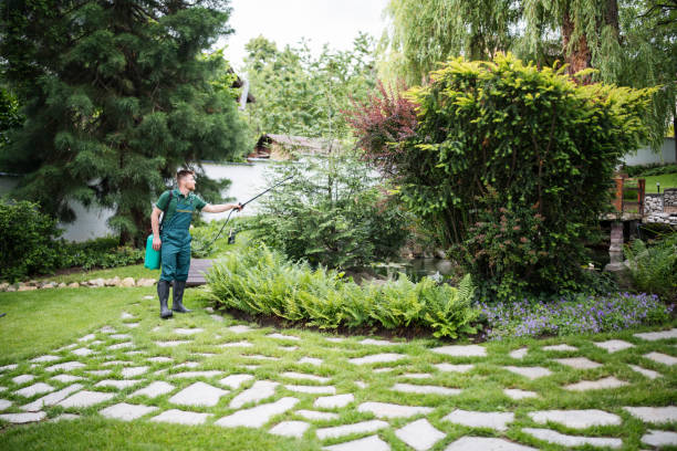 Best Tree Trimming and Pruning  in Herald, CA