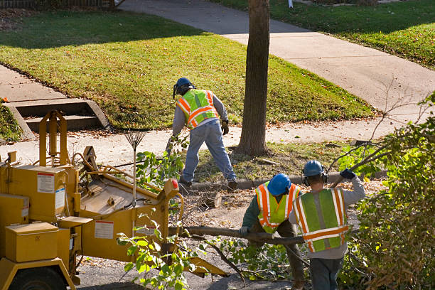 Best Lawn Pest Prevention  in Herald, CA